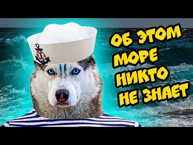 ПОЕЗДКА НА СЕКРЕТНОЕ МОРЕ!! (Хаски Бандит) Говорящая собака