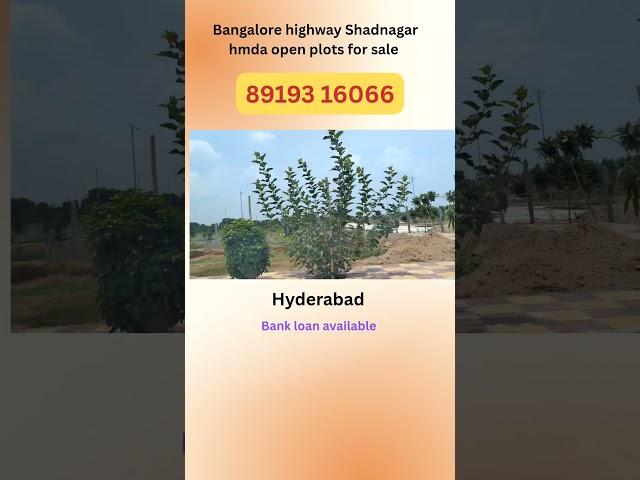 #banglore  highway open plots #Shadnagar hmda open plots for sale in Hyderabad