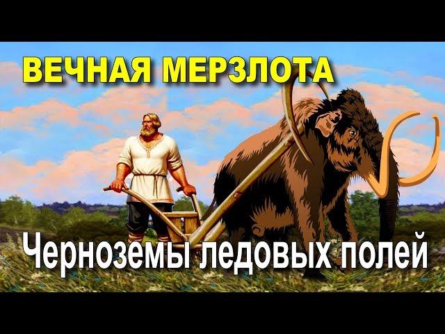 Вечная мерзлота.  Черноземы ледовых полей.