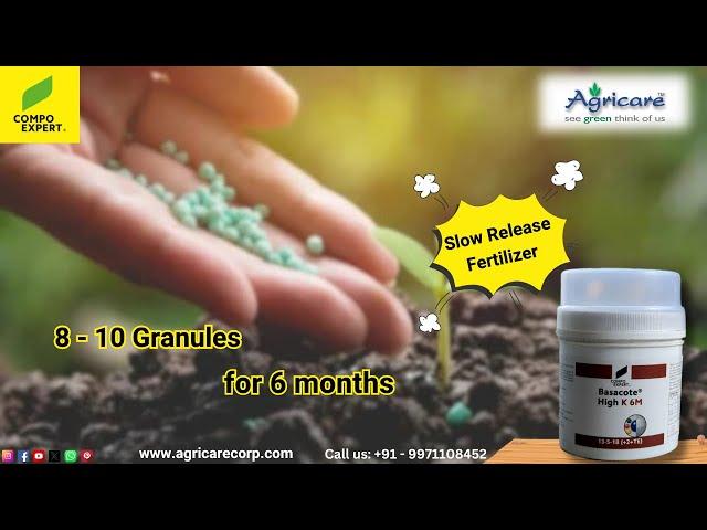 How to use Basacote High K 6M | Slow Release Fertilizer | NPK fertilizer Compo Expert and Agricare