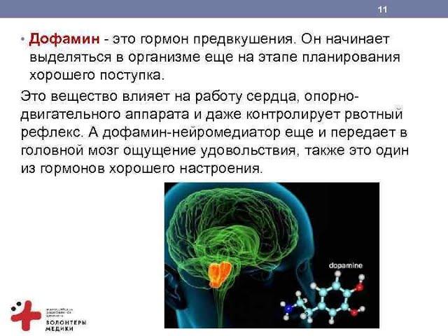 дофамин, серотонин, окситоцин, эндорфин гормоны счастья