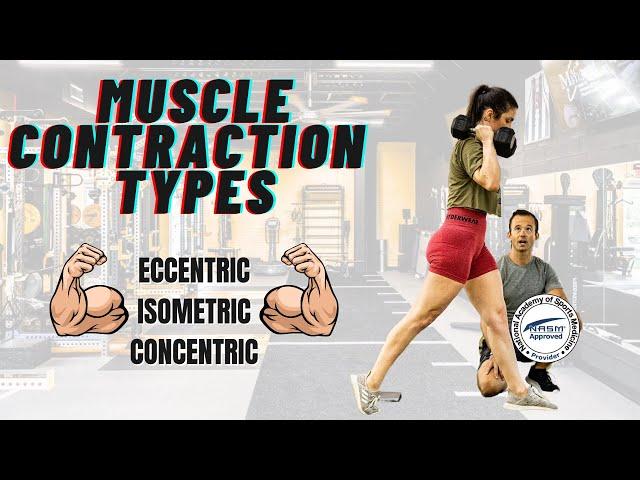 Muscle Contractions SIMPLIFIED || For Personal Trainers