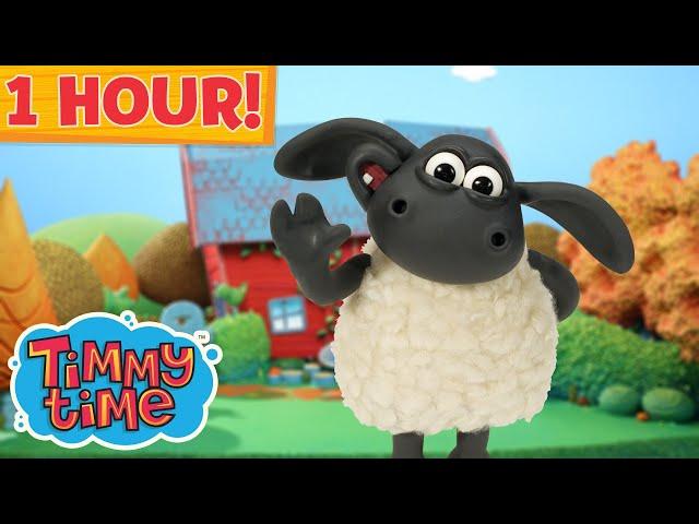 1 HOUR ⏱️ Timmy Time Compilation Episode 1-16  Preschool Cartoon