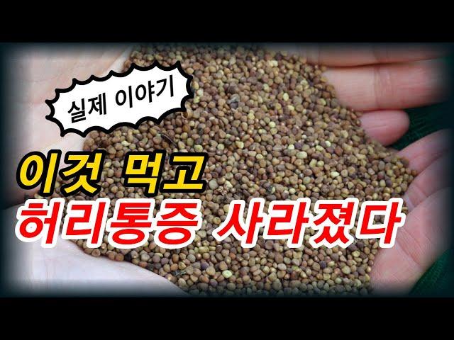 이것 먹으면 허리통증 무릎통증 사라지고 남녀의 성기능이 좋아진다[약초방송]