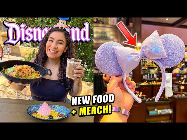  (NEW!) 2025 Disneyland Resort UPDATES! | New Foods, Merchandise, Parade, Rides + MUCH MORE!
