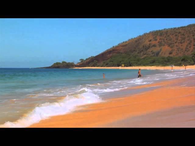 Aloha From Maui - "Hawaiian Petroglyphs"