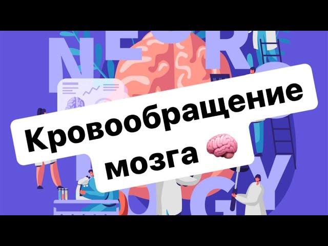 Крообращение центральной нервной системы