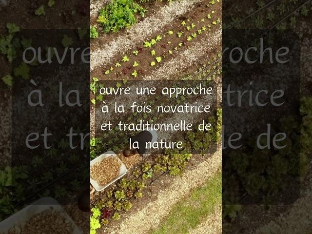 La Permaculture favorise une approche novatrice et durable du maraichage biologique sur sol vivant