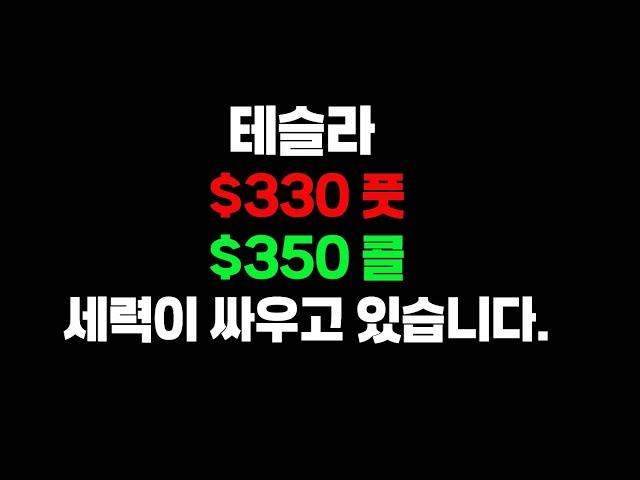 테슬라는 330을 지키는게 상승을 위한 최선책입니다.