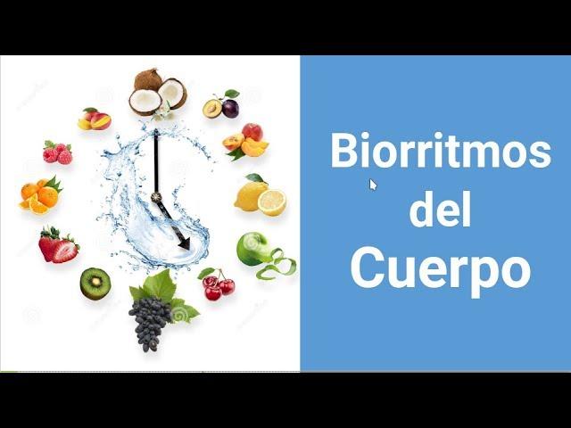 Los Biorritmos del Cuerpo - Higienismo Vital