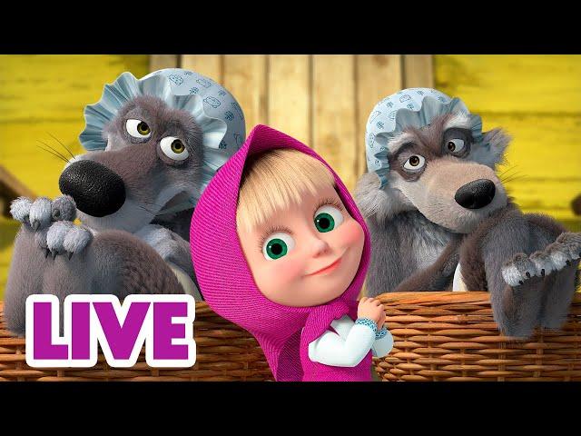  LIVE STREAM  Masha and the Bear  Wolfie Time ️