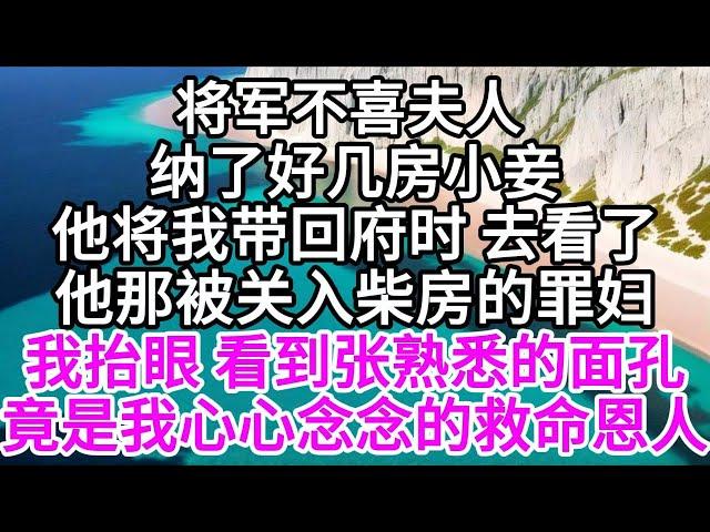 将军不喜夫人，纳了好几房小妾，他将我带回府时，去看了他那被关入柴房的罪妇，我抬眼，看到张熟悉的面孔，竟是我心心念念的救命恩人 【美好人生】