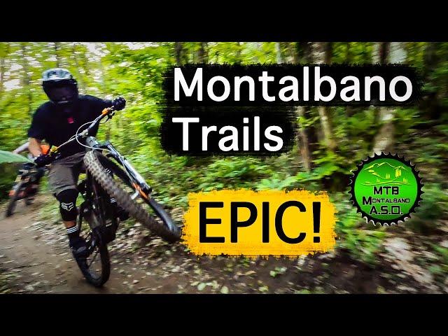 Montalbano - Trail Discovery + Canyon Strive : ON Live Test