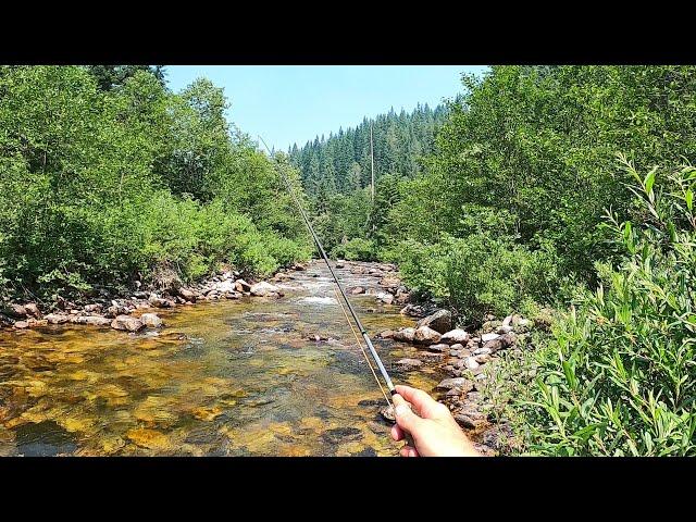 The ONLY FLIES U NEED on a summer trip out west - 9 flies I used on a 2 month road trip- NM,CO,ID,WY