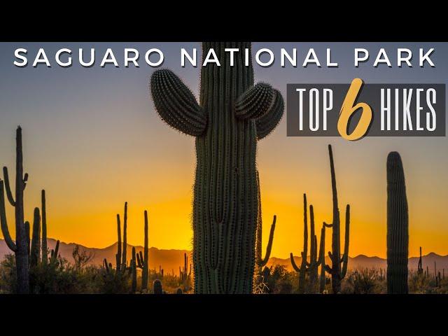 Top 6 Hikes | Saguaro National Park | Arizona