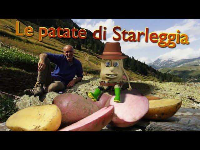 Pat e l'eroica coltivazione delle patate di Starleggia