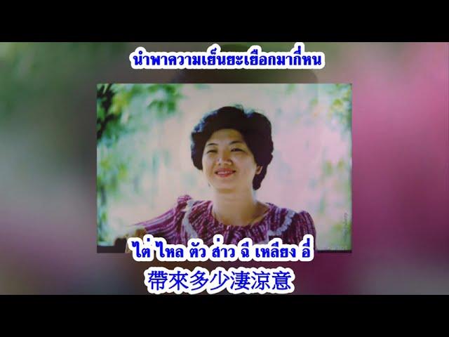 絲絲小雨 ซือ ซือ เสี่ยว ยวี่  鄧麗君 Lyrics แปลไทย