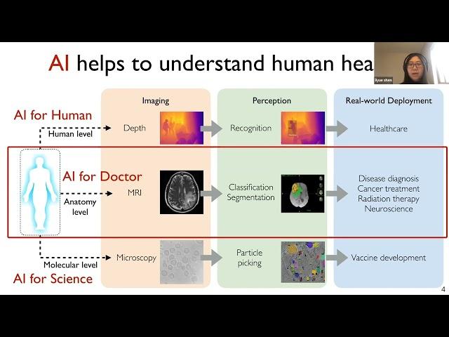 Stanford Radiology: PHIND (Spring) 2022, Shen: Time Before Birth: A Look at Developing Human Brain