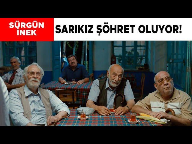 Sürgün İnek Türk Filmi | Sarıkızın Olayı Tüm Türkiye'de Ünleniyor!