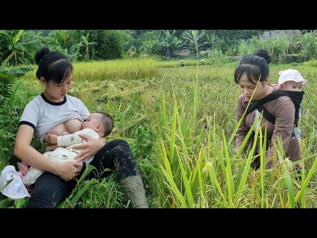 At 17 years old, she was a single mother, carrying her child to harvest rice to earn money