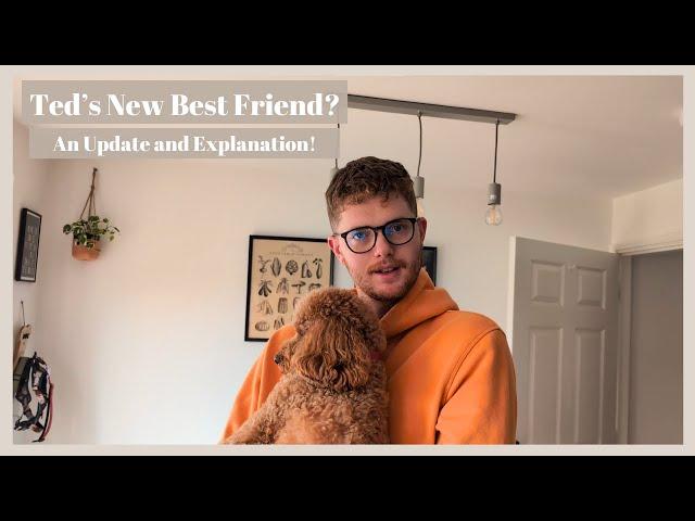 Ted's Got a New Best Friend! What We Got Up To This Weekend  | Weekend Vlog #78