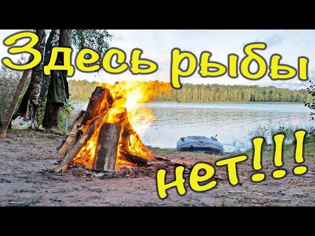 #недорыбаки неудачники... или как мы жрали 2 дня в 3 горла.