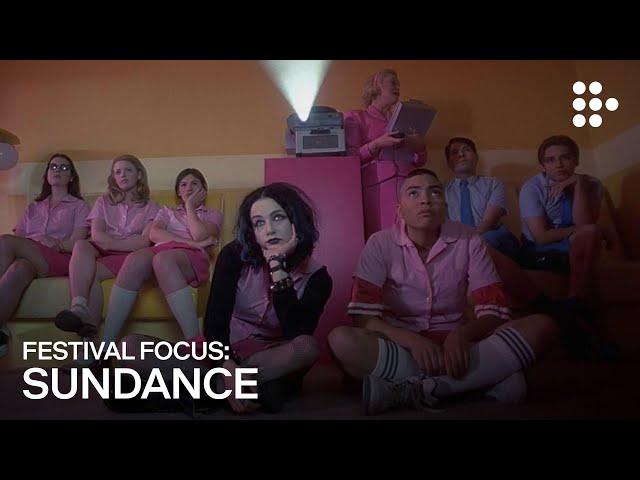 Festival Focus: Sundance | Official Trailer | Hand-Picked by MUBI