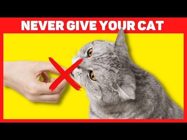 25 Foods toxic to cats  | Don't feed your cat