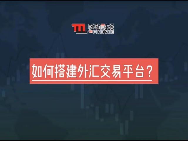 如何搭建外汇交易平台  | 外汇forex | 贵金属bullion | 代理IB | 移动财经m-FINANCE