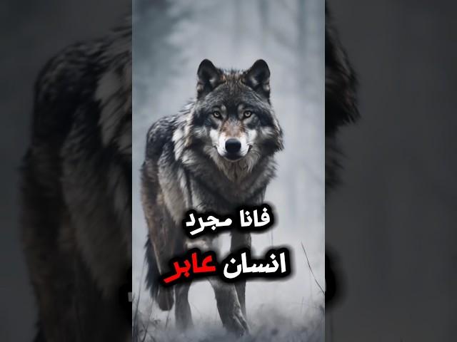حكم وأقوال ملهمه عن واقع الحياة #حياة#حكم#أقوال#إلهام#تحفيز#نصائح_حياتية