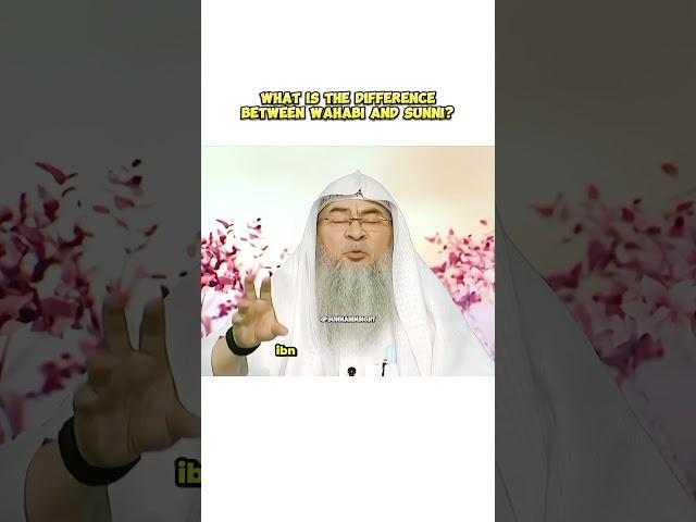 What is the difference between sunnis and wahabis? #assimalhakeem #sunnah #islamicvideo