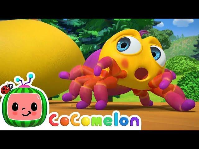 Itsy Bitsy Spider  CoComelon Nursery Rhymes & Kids Songs Time for Music! 