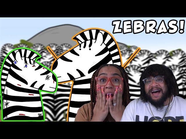 Your Life As A Zebra | James Toland Reaction