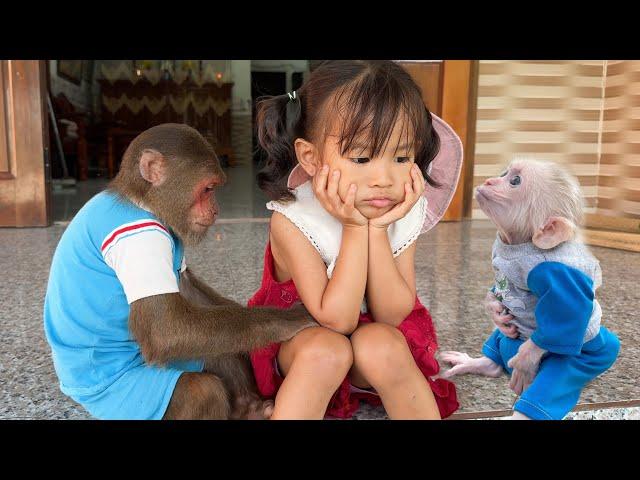 Yen Nhi with Cutis & baby monkey carry out a daring plan that shocks fans