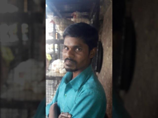 Pspu danja