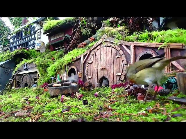 Robbie the Robin came for tea with the hobbit mice