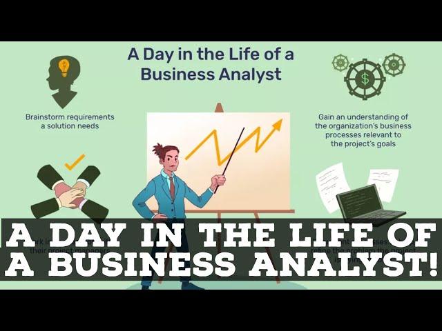 A Day In The Life Of A Business Analyst! What's It Like?