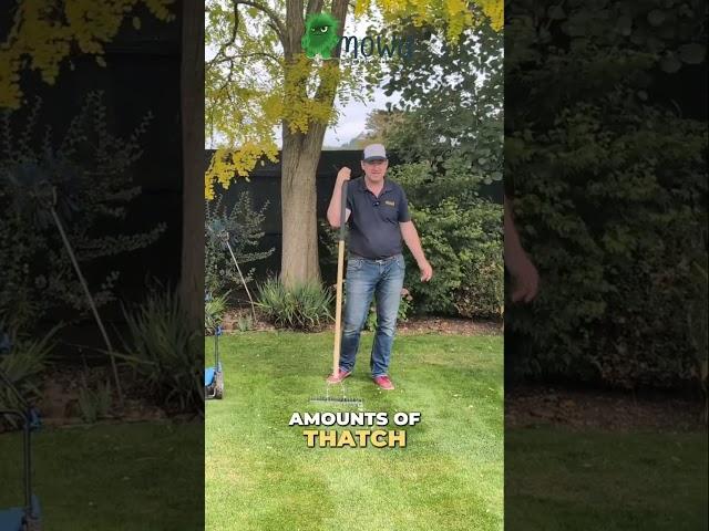 Thatching Revealed - Comparing 3 Scarifiers in Action