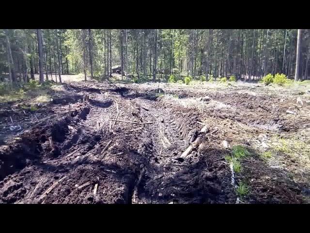 Как сделать крутую дорогу по болоту