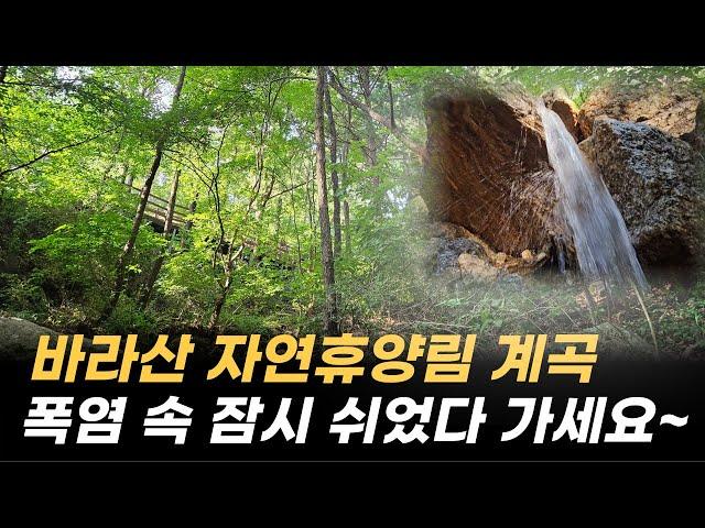 경기 의왕 바라산 자연휴양림 계곡