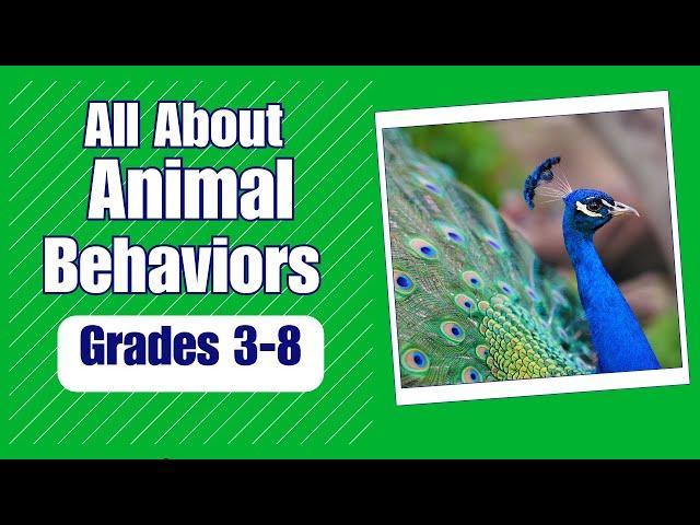 Animal Behavior - More Real World Science on Harmony Square