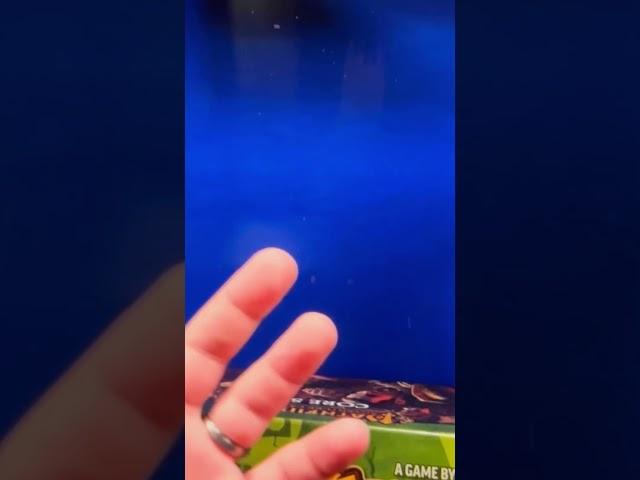 4 причины играть соло в настольные игры