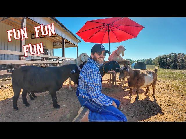 Farm Day Adventure with Farmer Jason & The Animals! (Fun Educational Video for Kids)