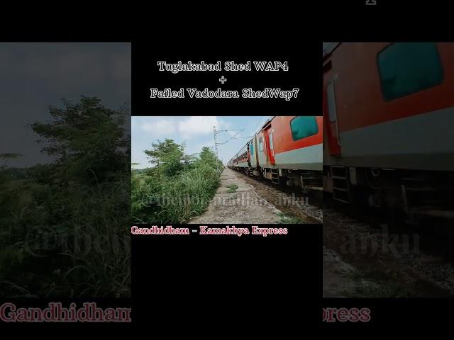 Tuglakabad WAP4 + Failed Vadodara WAP7 #shorts #trendingshorts #viral #viralshorts