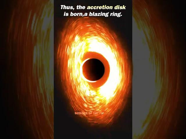 Birth of Black Hole’s Accretion Disk