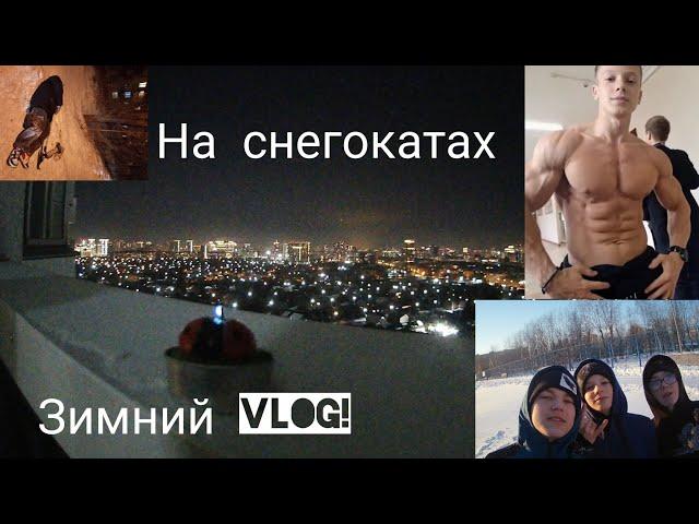 Зимний влог | КАТКА НА ЛЫЖАХ!?