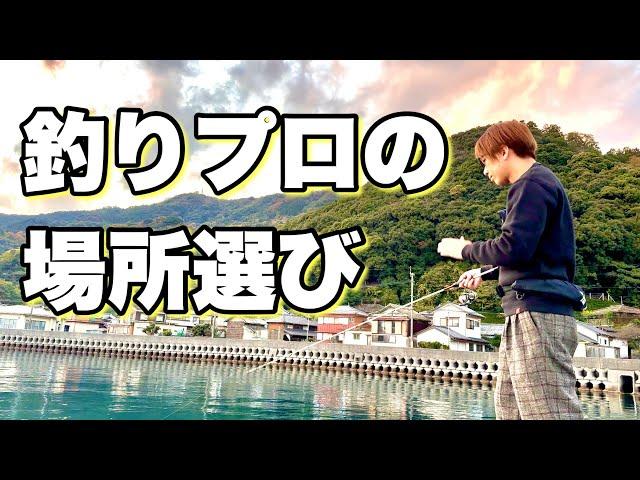 【アジング】場所の選び方を解説していたら想像以上にいい魚が釣れ過ぎたw