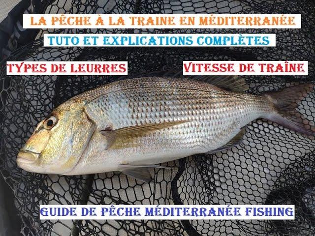 Pêche à la Traine en Méditerranée TUTO et Explications Complètes