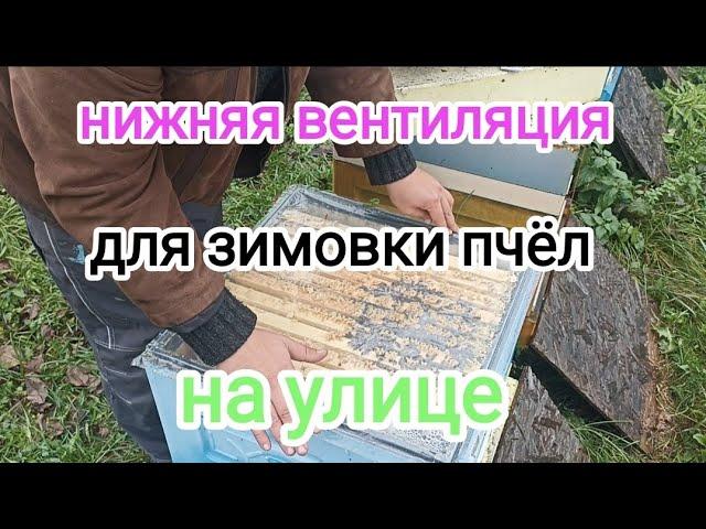 Зимовка пчёл на воле. Нижняя вентиляция в ульях ППС и ППУ. ПЧЕЛОВОДСТВО!