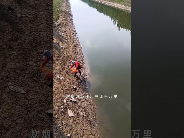 New Big Cast Net Fishing Videos   Catch Lot of Big Fish by Cast Net in Pond 1